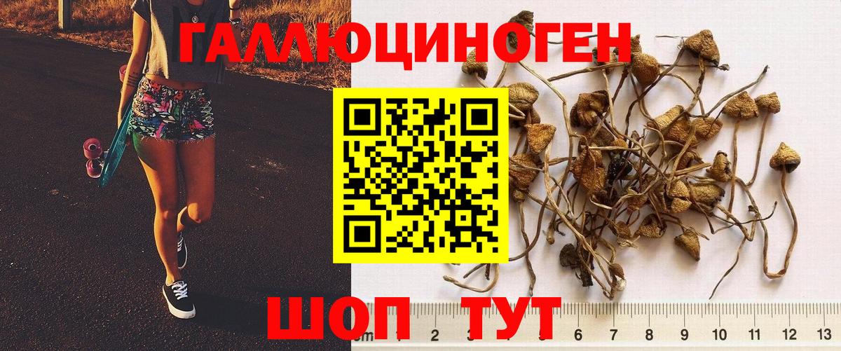 Псилоцибиновые грибы Magic Shrooms  Галлюциногенные грибы мицелий  Вход с VPN  Каменка 