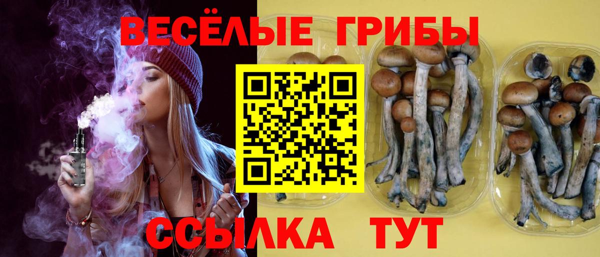 Галлюциногенные грибы Cubensis Каменка